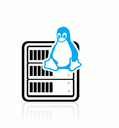 Linux Server icon