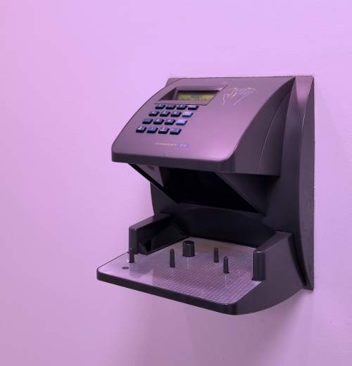 Biometric Hand Scanner for data center access