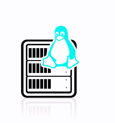 Linux Cloud Server